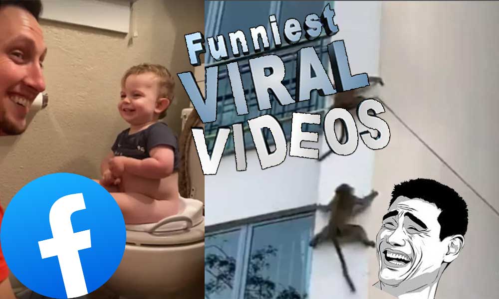 Funniest Viral Videos