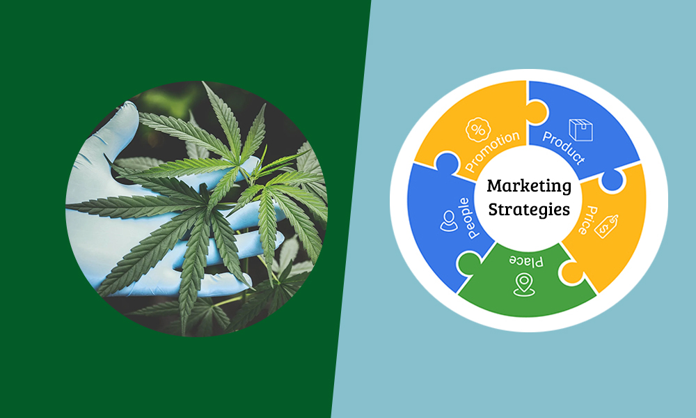 6 Marijuana Marketing Strategies for Your Cannabis Business