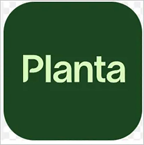 Planta