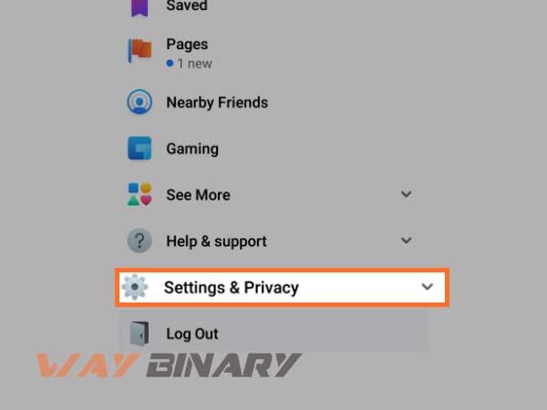 Settings and Privacy