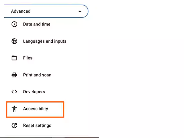 Accessibility option on Advanced  Panel