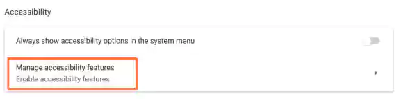 Manage Accessibility feature in Accessibility option