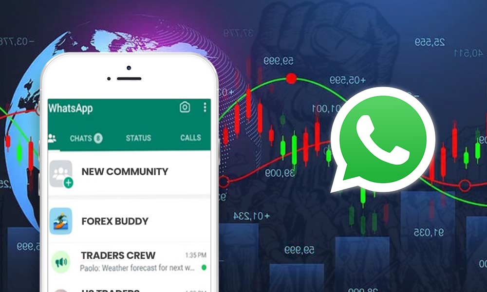 Using Traders Union You can Find Forex WhatsApp Group, Which Can Help ...