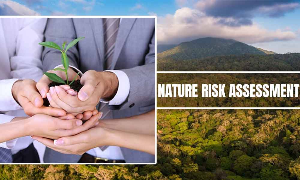 nature-risk