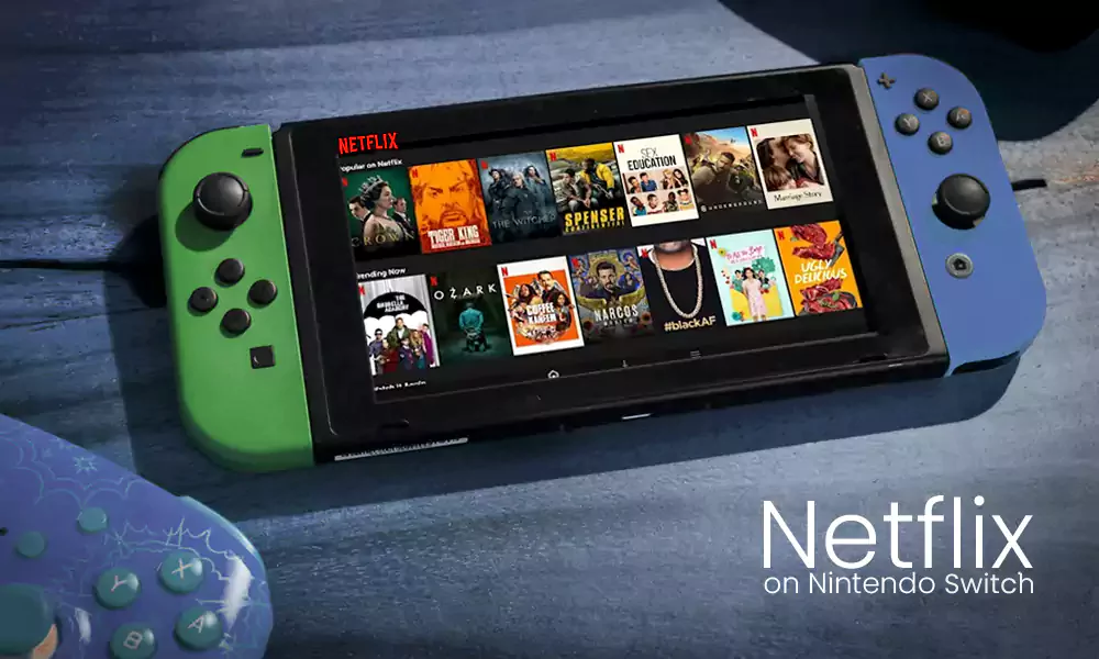 netflix on switch