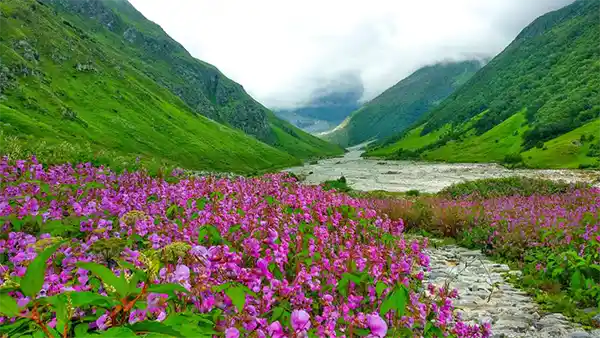 Valley of Flowers, Uttarakhand