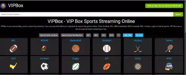 VIP Box