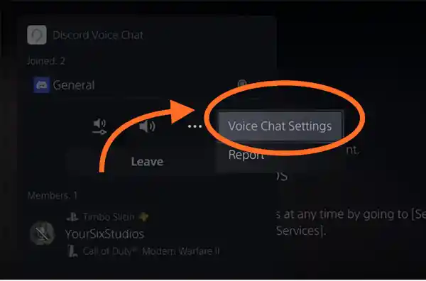 Choose Voice Chat Settings