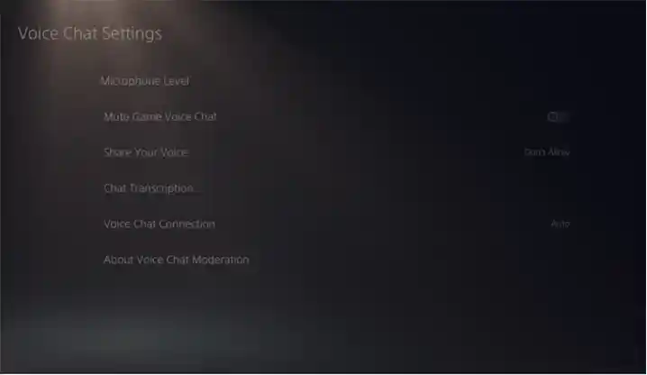 Discord Voice Chat Settings list