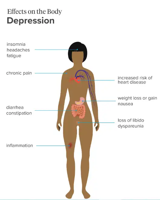 Effects of Depression on Body