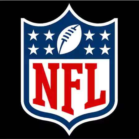 NFLbite Official Logo
