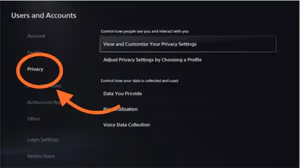 PS5 Privacy Settings
