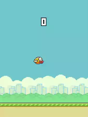 Flappy Bird Gaming Window