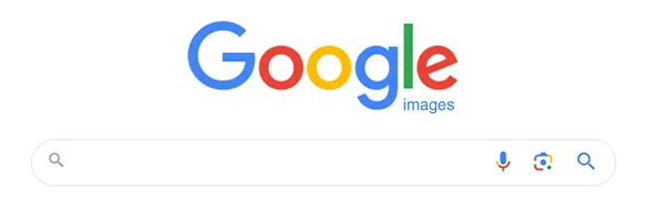 Google Image Search