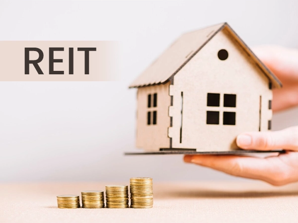 Real Estate Investment Trusts (REITs)