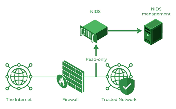 Intrusion detection system